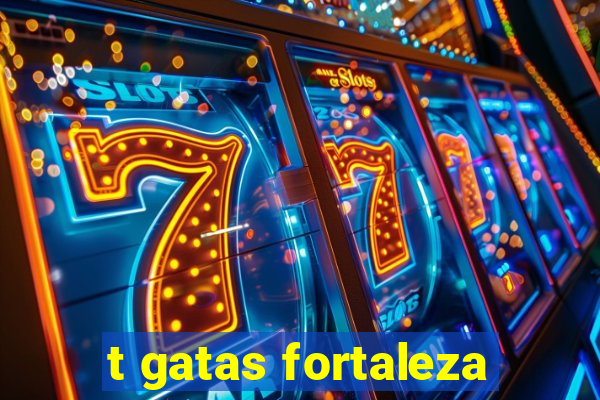 t gatas fortaleza